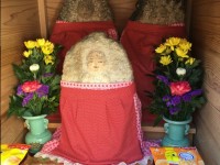 患者様の金言①