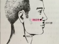 花粉症に効く⁈②