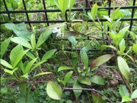 患者様の金言②