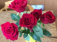 患者様の金言④〜83本の幸せ🌹〜