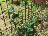 患者様の金言⑤