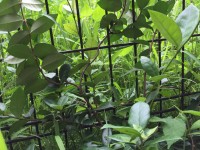 患者様の金言⑥