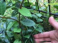 患者様の金言⑦