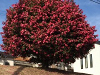 １年間ありがとうございました❗️