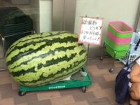 暑中お見舞い申し上げます