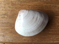 70年オーバーの友情の品