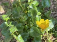 患者様の金言12