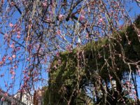 患者様の金言１３